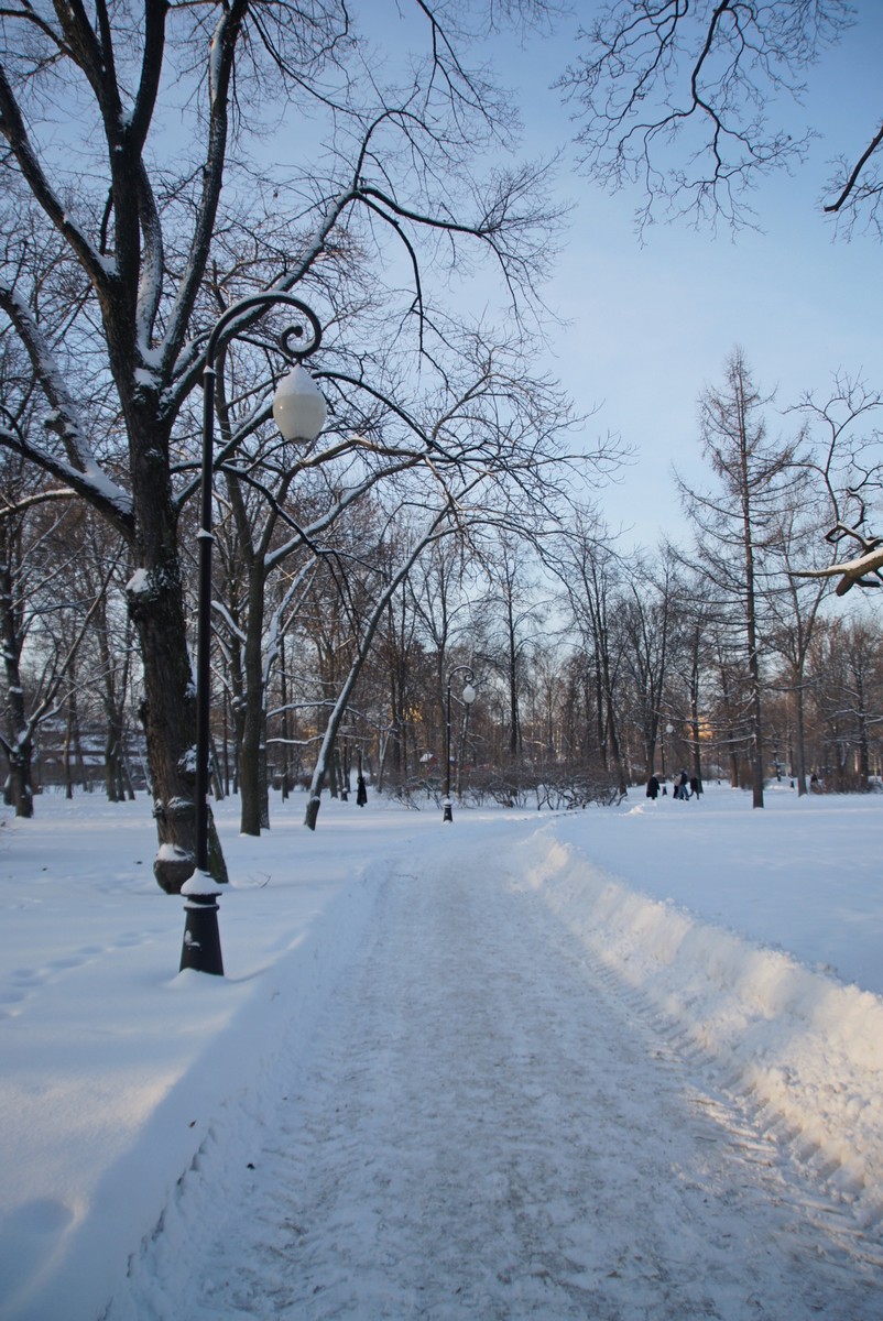 Фото Петропавловской Парк