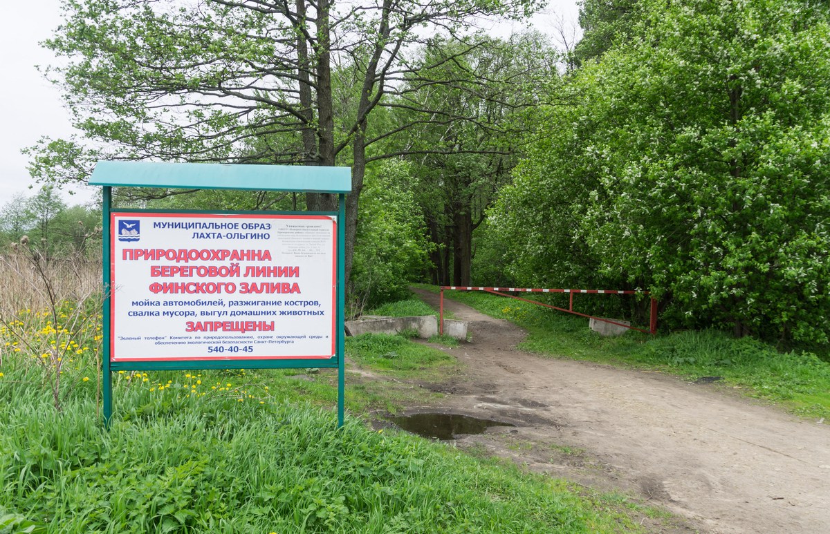 Из зеленого оазиса в промзону: что станет с МО «Лахта-Ольгино» после переноса в район «АБЗ №1» DSC07509