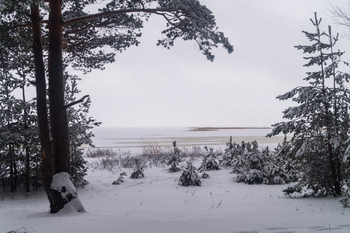 Финский залив. Февральский пейзаж.