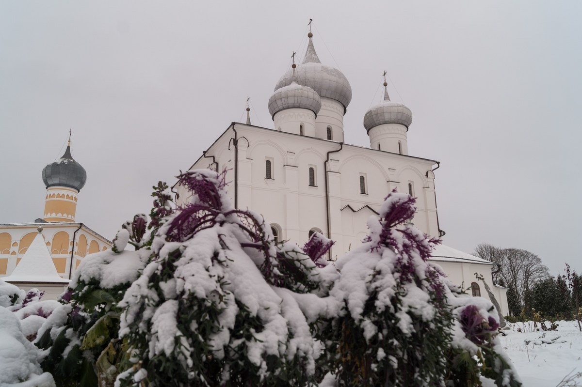Варлаамо-Хутынский Спасо-Преображенский монастырь. Первая зимняя палитра.
