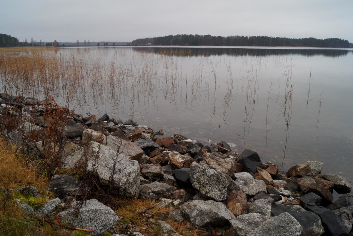 Финляндия. По дороге в Савонлинну. Озеро, камыши и камни.