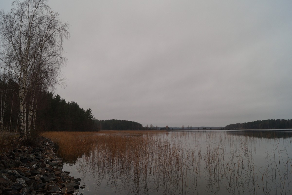 Финляндия. По дороге в Савонлинну. У озера. Ноябрь.