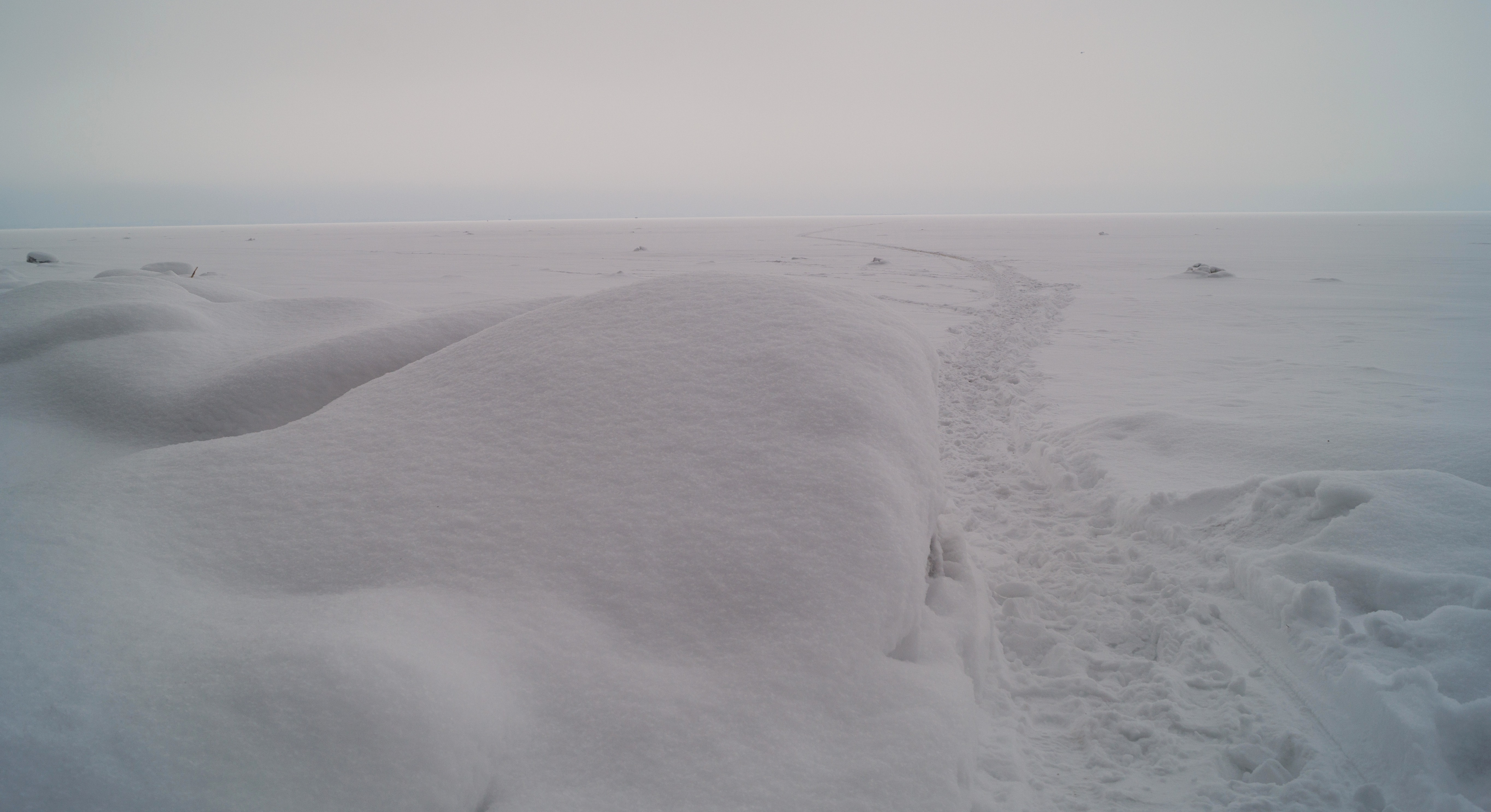 Ольгино. На берегу Финского залива.  Просто снежно-ледяное безмолвие. Февраль.