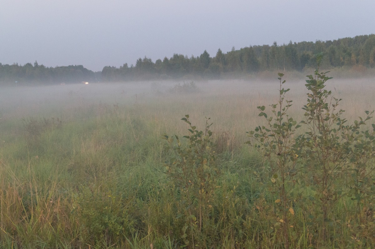 Псковская область. Вечернее поле и туман.