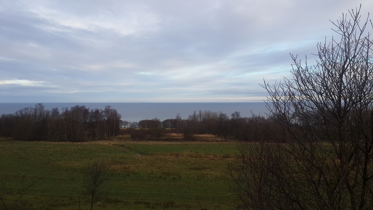 Эстония. Трасса Нарва-Таллин. Вид на Финский залив. Спокойный ноябрь.