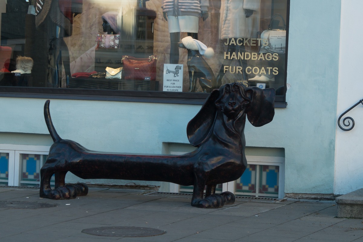Таллин. Скамейка-собака на Ратушной площади.