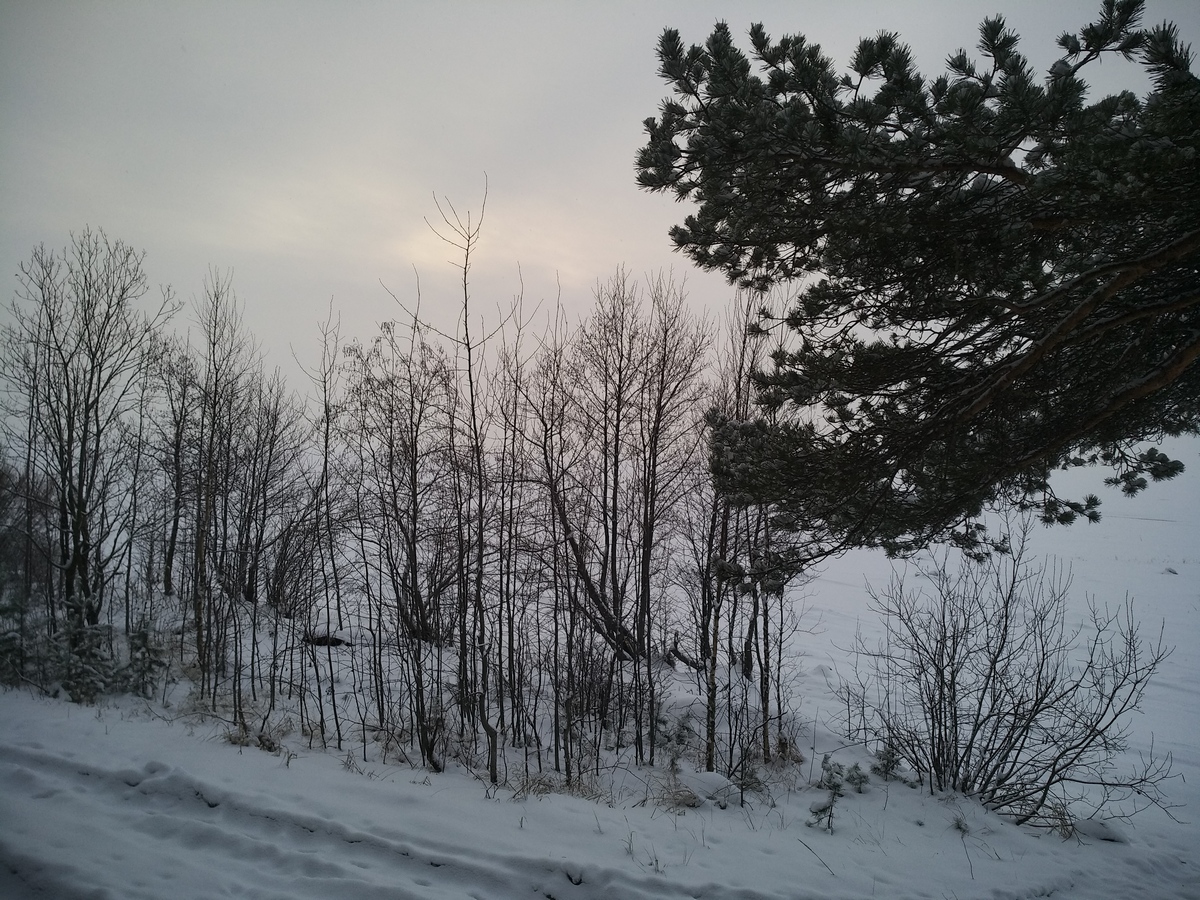 Ольгино. Сумрачный декабрь на Финском заливе.