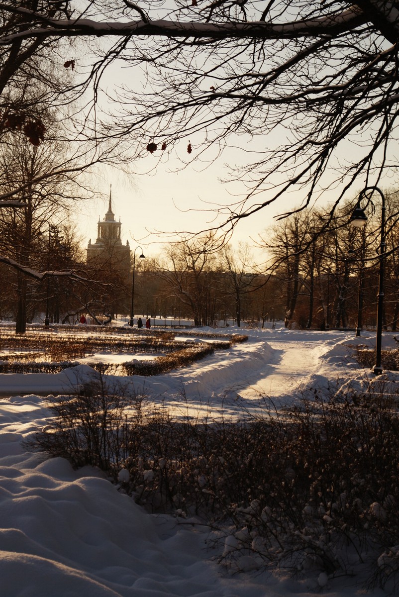 Морозный январь в Московском парке Победы. 