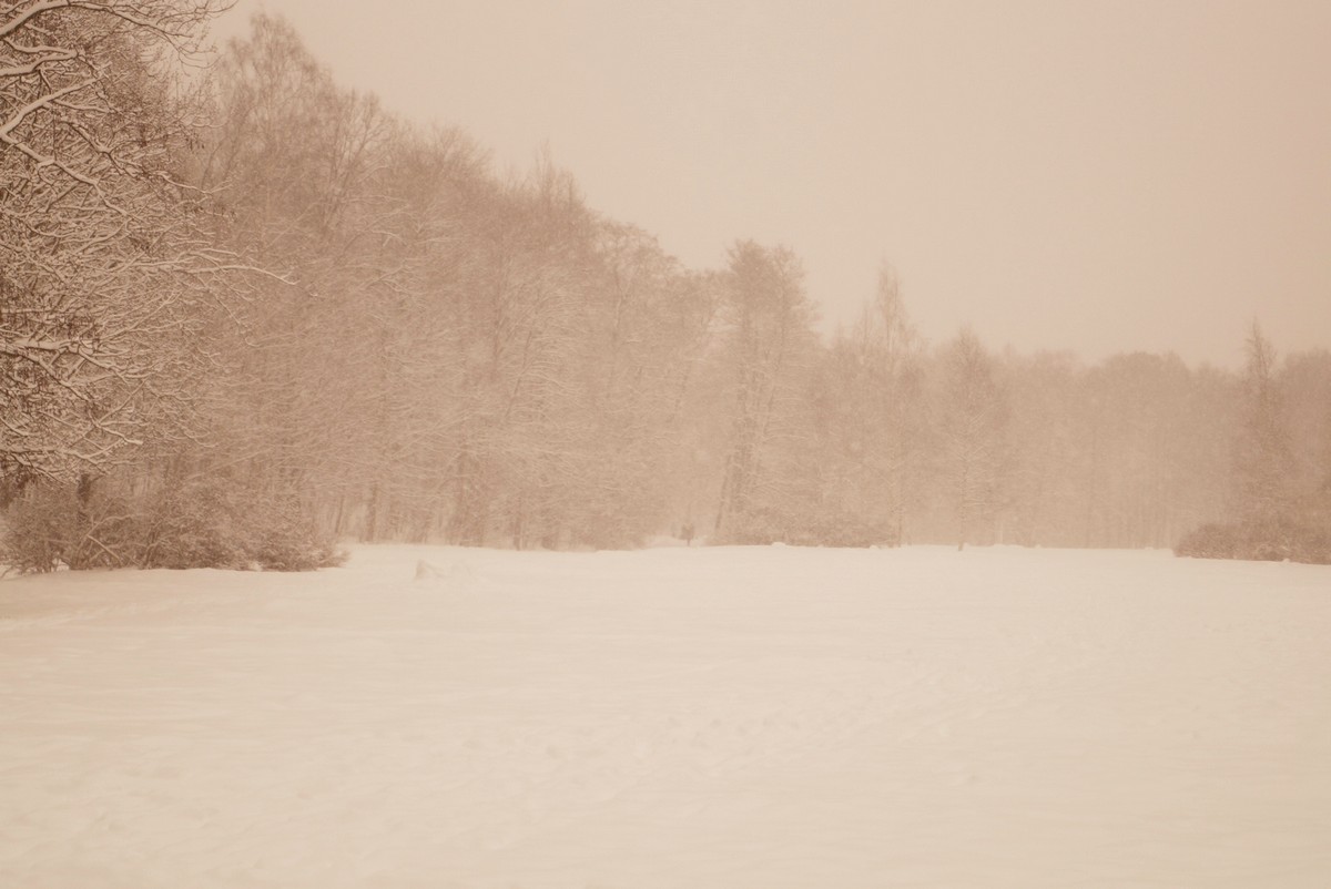 Начало марта в Удельном парке. На Большой поляне. Снег идет.