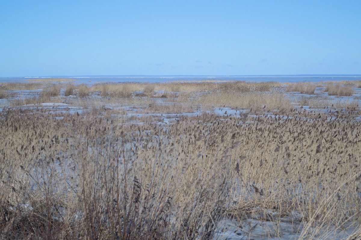 Котлин. На дороге к Северной батарее № 1. Наш зимний март. Пока еще замерзшее болото.