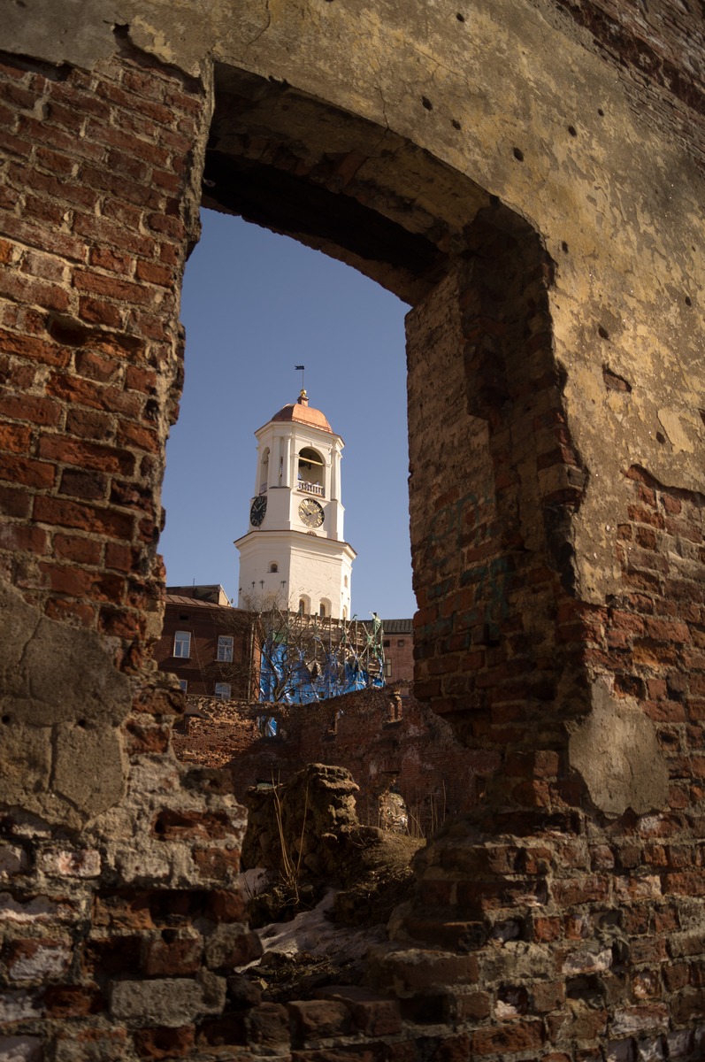 Выборг. Часовая башня в проеме руин кафедрального собора.